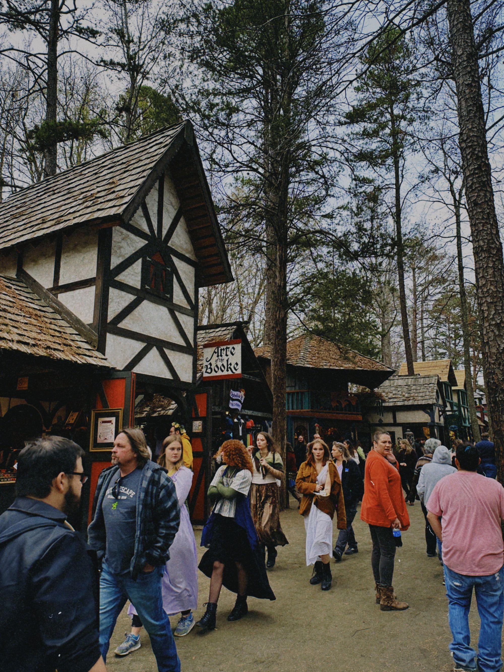 Quick snap of the Carolina Renaissance Festival